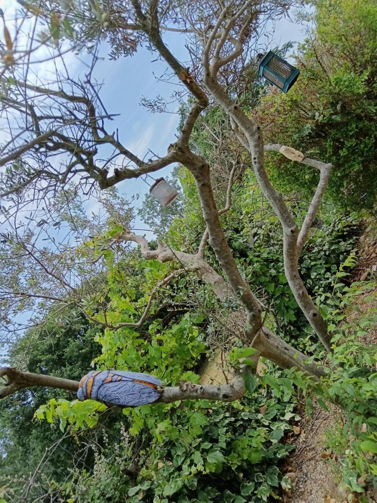 Le Mas Du Ruisseau 벨레가르데 외부 사진
